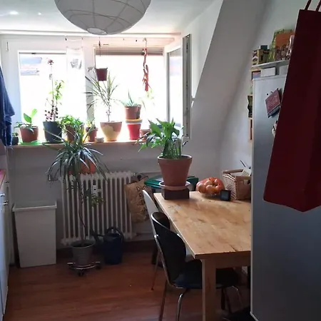 In Perfekter Lage * Fribourg im Breisgau
