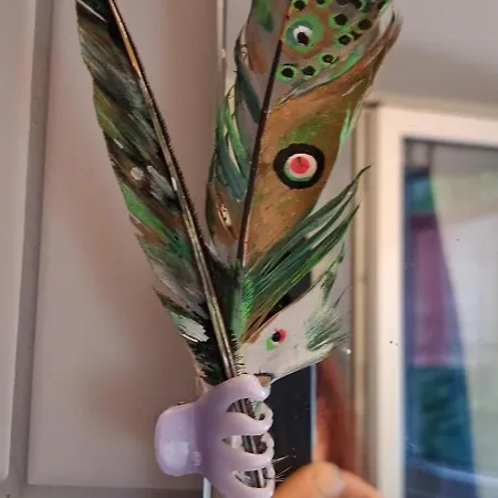 In Perfekter Lage * פרייבורג